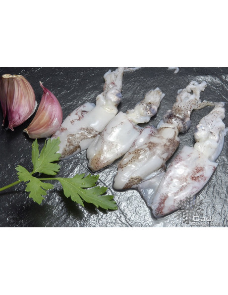 PUNTILLA DE CALAMAR LIMPIA