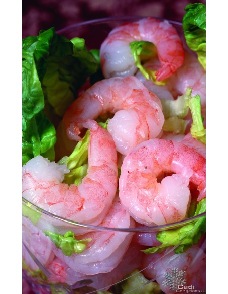GAMBA PELADA MEDIANA