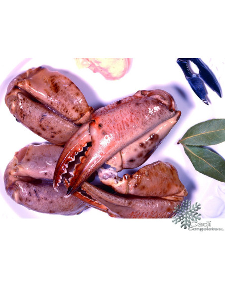 BOCA GRAN SOL   Nº1