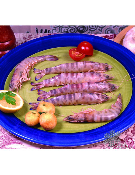 LANGOSTINO MEDITERRÁNEO (31-40 PIEZAS K.