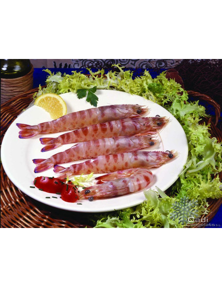 LANGOSTINO MEDITERRÁNEO (16-20 PIEZAS K.