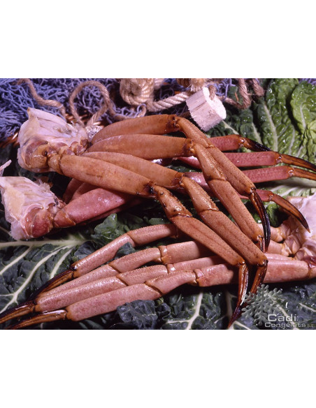 CUERPOS DE CANGREJO Nº1