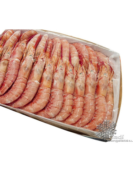 LANGOSTINERA Nº3 (CAJA 2 KILOS)