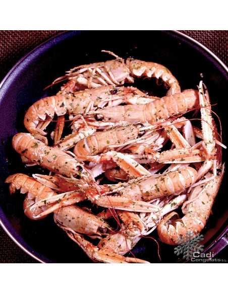 ESCAMARLA  Nº4 (26-35 PECES K. APROX.)