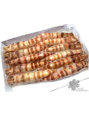 LANGOSTINO MEDITERRÁNEO CAJA 1k. (16-20 PIEZAS K. APROX.)