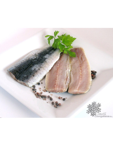 FILETE DE SARDINA