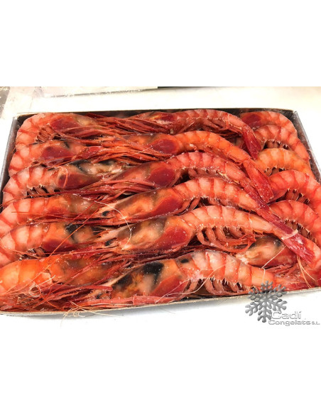 GAMBA VERMELLA A1 MITJANA Preu kilo per caixa de 1 kilo Aprox.